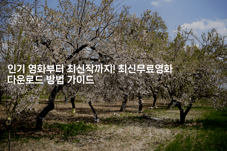 인기 영화부터 최신작까지! 최신무료영화 다운로드 방법 가이드2-시네린