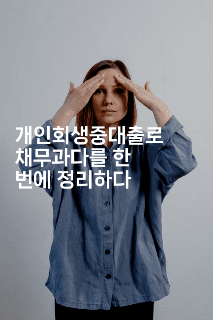 개인회생중대출로 채무과다를 한 번에 정리하다-시네린