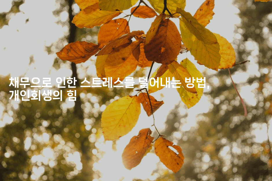 채무으로 인한 스트레스를 덜어내는 방법, 개인회생의 힘