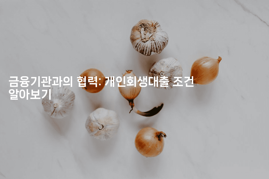 금융기관과의 협력: 개인회생대출 조건 알아보기-시네린