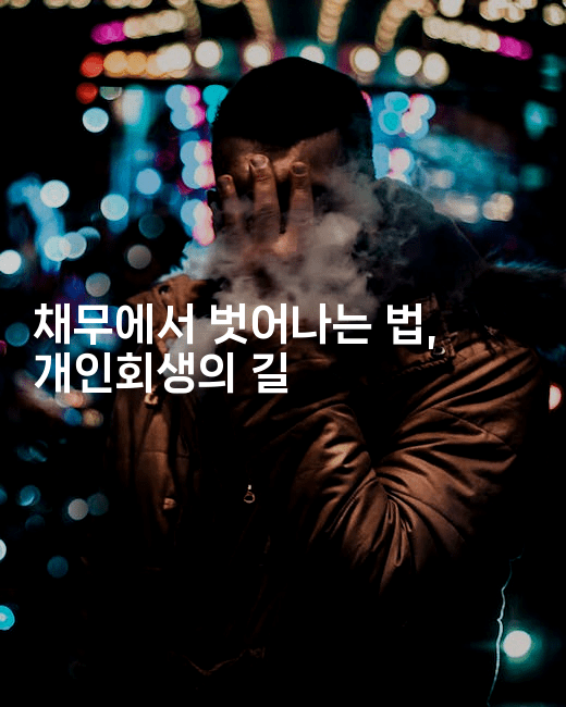 채무에서 벗어나는 법, 개인회생의 길-시네린