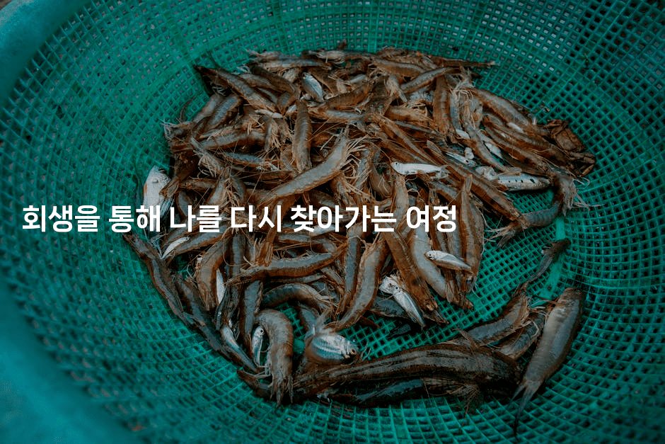 회생을 통해 나를 다시 찾아가는 여정-시네린