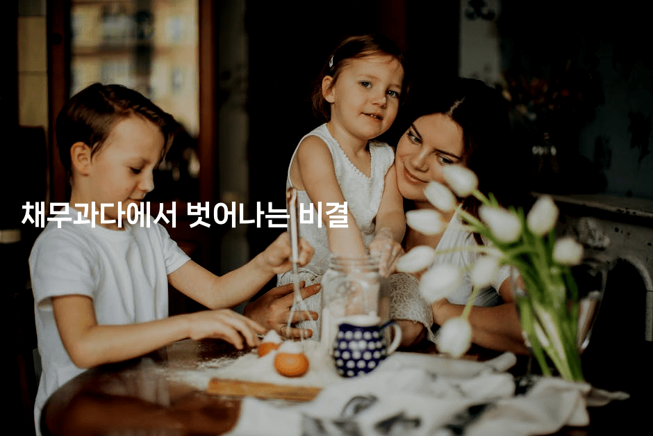 채무과다에서 벗어나는 비결-시네린