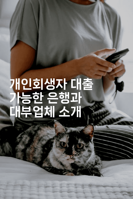 개인회생자 대출 가능한 은행과 대부업체 소개-시네린