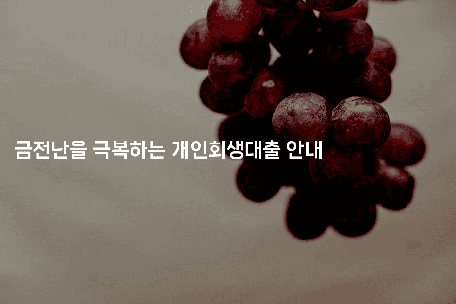 금전난을 극복하는 개인회생대출 안내-시네린