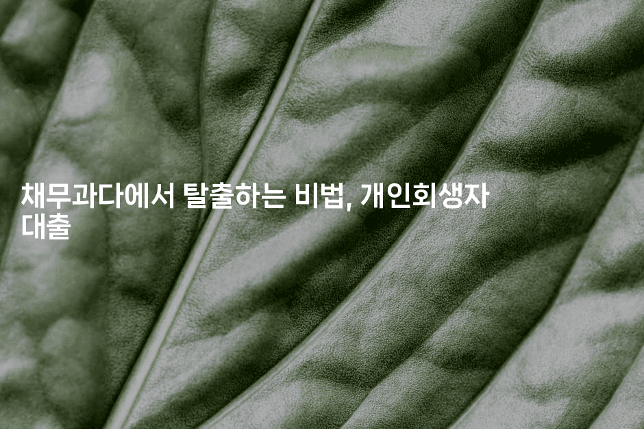 채무과다에서 탈출하는 비법, 개인회생자 대출-시네린