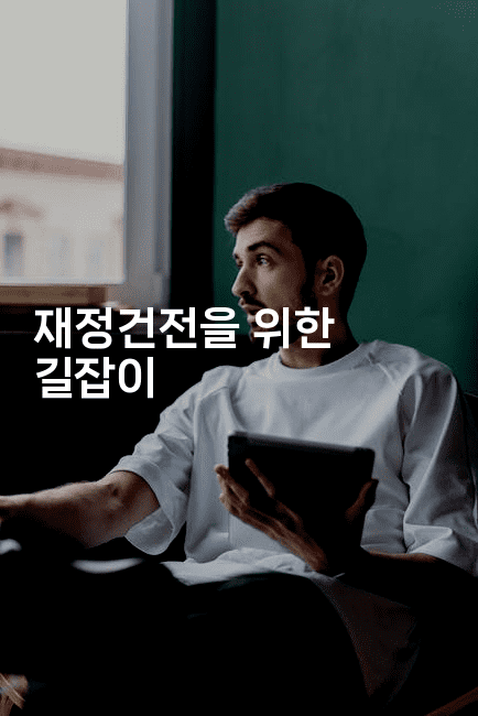 재정건전을 위한 길잡이-시네린