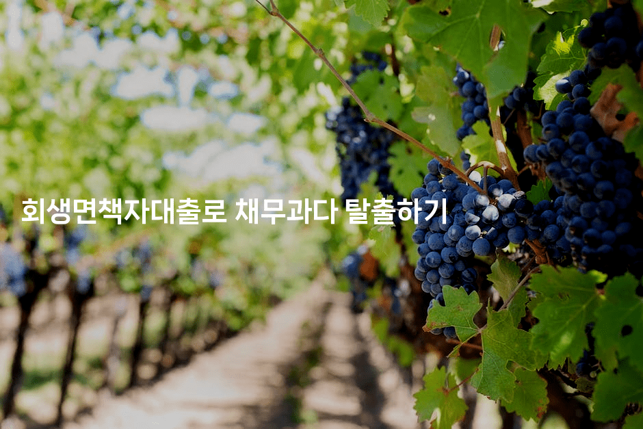 회생면책자대출로 채무과다 탈출하기-시네린