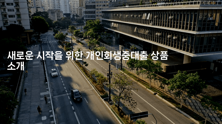 새로운 시작을 위한 개인회생중대출 상품 소개-시네린