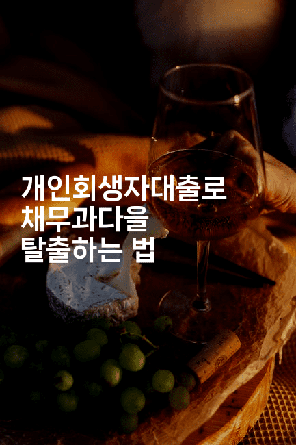 개인회생자대출로 채무과다을 탈출하는 법-시네린