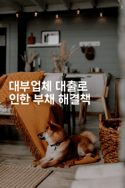 대부업체 대출로 인한 부채 해결책-시네린