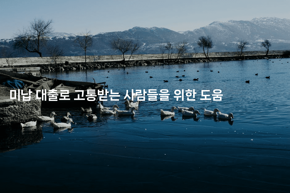 미납 대출로 고통받는 사람들을 위한 도움-시네린